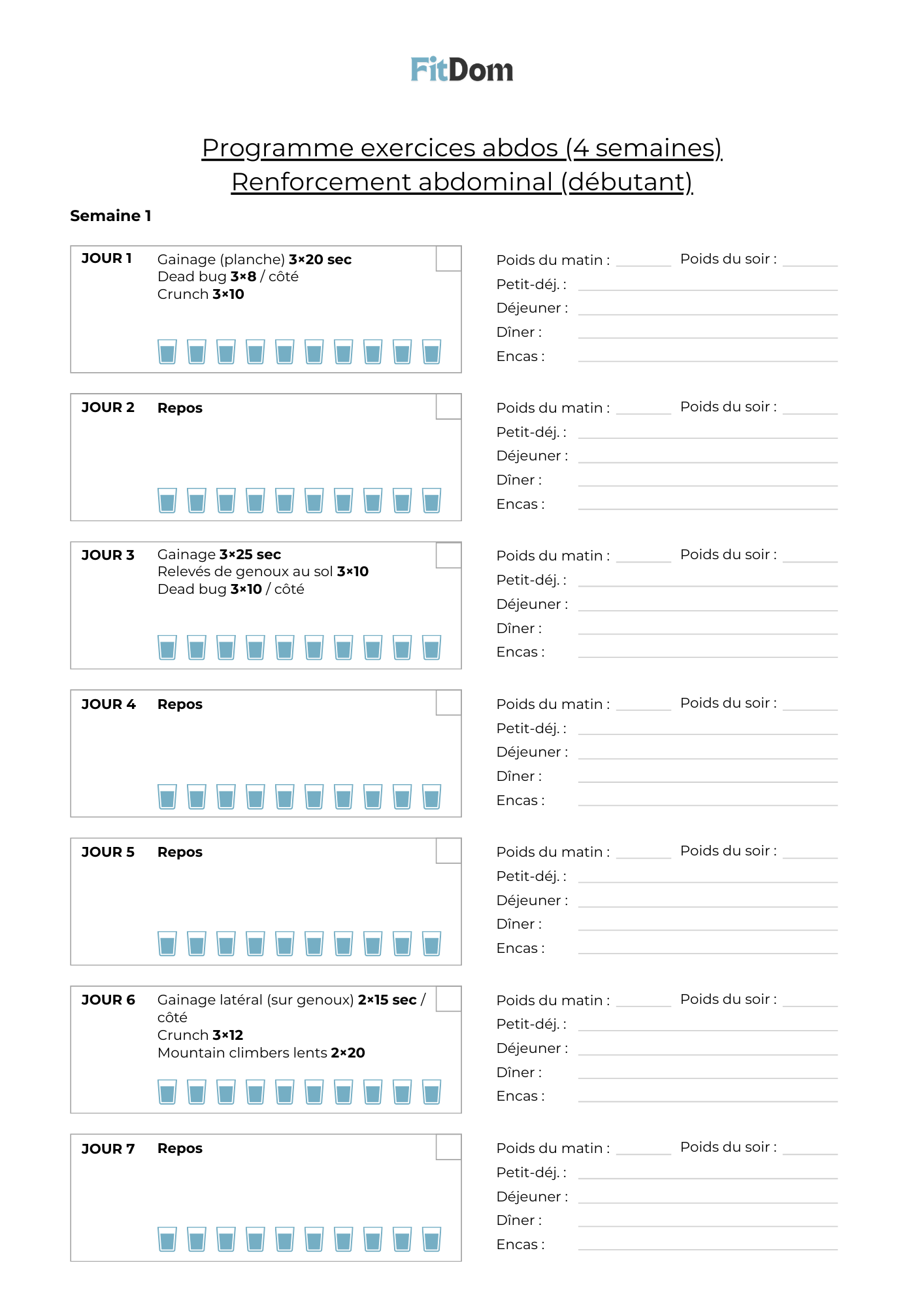 Aperçu du programme exercices abdos débutant sur 4 semaines