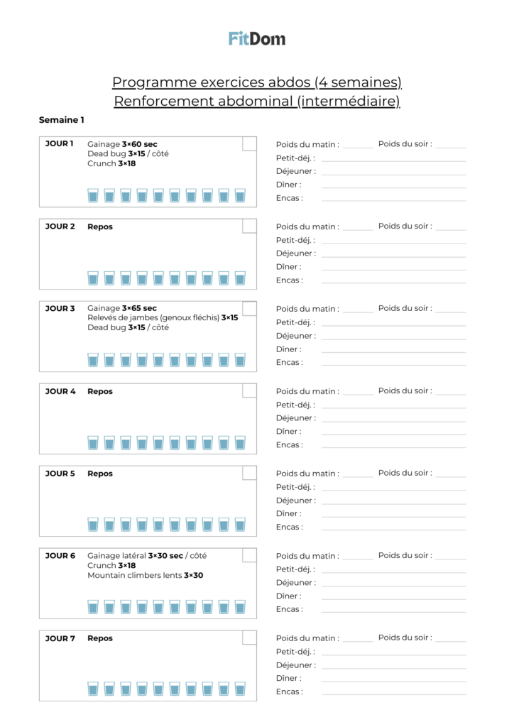 Aperçu du programme exercices abdos intermédiaire sur 4 semaines